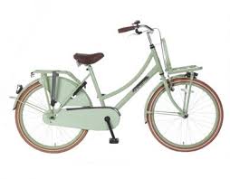 Popal Daily Dutch Meisjesfiets Groen 24 Inch Fietsen