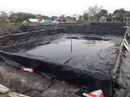 Usahakan jumlahnya lebih dari satu agar anda bisa memanen lebih banyak dalam setahun. Dhita Author At Pt Mutiaracahaya Plastindo