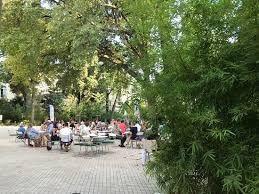 Faune Mo Co Montpellier Restaurant Reviews Photos Phone Number Tripadvisor