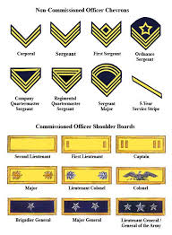 Http Www Shadowlandstudios Com 2nd Us Cav Images Rankcart Jpg Military Ranks Army Ranks Civil War Confederate