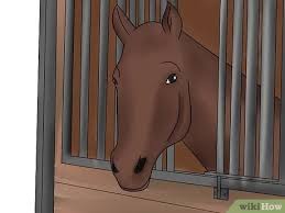 Ammoniak ist schon gefährlich, aber schon bei so niedrigen konzentrationen extrem penetrant in der nase, dass vergiftungen sehr selten sind. Ammoniak Neutralisieren Wikihow