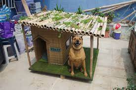 tropical dog house album on imgur dog house diy dog house plans build a dog house