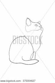 A single line is ok for short hair. One Line Drawing Cat Vector Photo Free Trial Bigstock