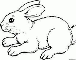 Check spelling or type a new query. Easter Bunny Real Coloring Pages Printable