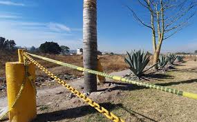 He entered the world of … Sonora Localizan A Familiares De El Guero Palma En Fosa Clandestina