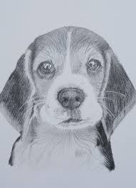 Quadro Decorativo Realista De Pets Tamanho A4 No Elo7 Cintia Santana Ilustracoes 16bf7dd