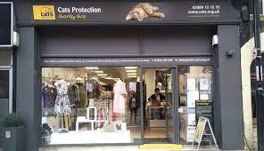 Cats Protection Shops To Reopen Across Greater Manchester Inyourarea Community