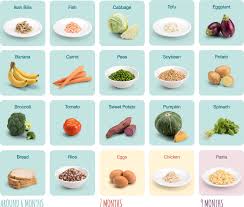 Apalagi ketika ia sudah berusia 9 bulan, makanan yang bisa dikonsumsi sudah mulai beragam. Pin On Bayi