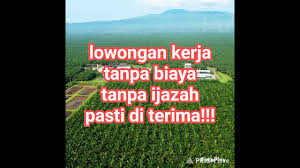 Raya mustikasari no.239, rt.002 rw.002, lowongan kerja tanpa ijazah dibutuhkan segera !! Loker Di Malangbong Tanpa Ijazah Cari Pekerjaan Lowongan Cute766