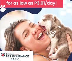 When all you can say is WOW! Awesome Fire dance and more here in Zoobic  Safari 😮😮 #zoomanitygroup #tagmedia #zoobicsafari