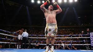 Andy ruiz tells tmz sports. Does Your Body Shape Really Dictate How Fit You Are Sportsjoe Ie