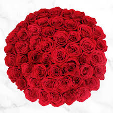 Such merchandise is available in costco wholesale canada, ltd. 50 Stem Red Roses Costco