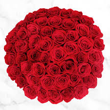 Check spelling or type a new query. 50 Stem Red Roses Costco