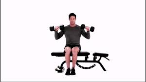 What are seated dumbbell curls? How To Do Seated Reverse Dumbbell Curl Exercise Video