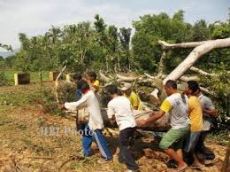 Saat di konfirmasi kepala pelaksana badan penanggulangan bencana daerah (bpbd) kabupaten wonogiri, bambang haryanto membenarkan terjadinya. Video Angin Puting Beliung Jatiroto Wonogiri Dani Setiyawan