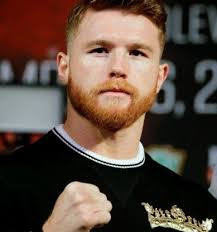 Floyd mayweather's brit girlfriend has hinted at the pair's future happiness together by posting a gushing birthday message to the legendary boxer. Canelo Alvarez Net Worth Wiki Bio Earnings Career Athlete Boxer Age Weight Girlfriend