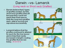 Chapter 15 Darwins Theory Of Evolution Ppt Video Online