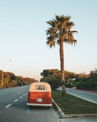 Looking for the best road trip wallpaper? Hd Wallpaper The Good Life Brown And White Vehicle Parked Near Palm Tree On Concrete Road Under Clear Sky At Daytime Wallpaper Flare