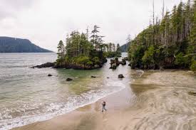 Check spelling or type a new query. These 83 Provincial Parks On Vancouver Island Will Open For Day Use On May 14th