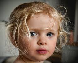 Snapped some pics, goofed in Lightroom. I don't know what I'm doing...but  I'll learn.