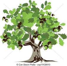 Oak Tree Illustrations And Clipart Family Tree Art Tree