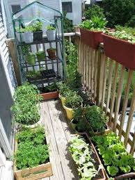 Balcony vegetable garden addition #3: Tiny Balcony Vegetable Garden Novocom Top