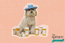 Check spelling or type a new query. The 6 Best Places To Buy Pet Medication Online In 2021