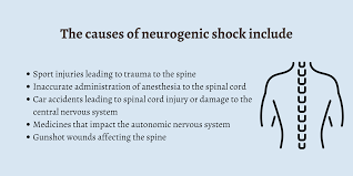 Image result for Spinal Shock