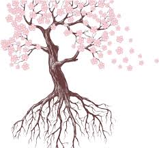 Treetop of cherry blossom petal leaf vector. Download Drawn Roots Sakura Tree Flowers And Trees Drawings Png Image With No Background Pngkey Com