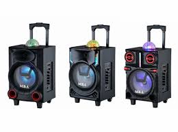 Professional Home Theater Karaoke Party Music Power Amplifier Bluetooth  Wireless Trolley Battery Audio Active Speaker - China Speaker and Trolley  Speaker price | Made-in-China.com