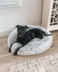 Another thing that we like about this dog bed is that it comes with a faux fur cover that is. Calming Bed Regular King Size Large Orthopedic Dog Bed The Mellow Dog