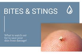 An eschar is a piece of dead tissue that falls off the body, away from healthy skin. Bites And Stings The Dermatology Specialists