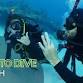 Learn to Dive May 30