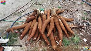 Alcaldía de El Pangui