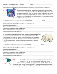 Work power and energy worksheets answers. Darwin S Natural Selection Worksheet