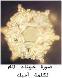منوعات القران الكريم عجائب قراءة القران الكريم على الماء