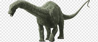Maybe you would like to learn more about one of these? Apatosaurus Universal S Brachiosaurus Dinosaur Jurassic Park Lockwood Estate Jurassic World Tyrannosaurus Fauna Wildlife Png Pngwing