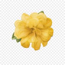15 Flower Crowns Png Yellow Red Flower Crown Yellow Flower Crown White Flower Crown Wreath flower crown, flowers crown s, herbaceous plant, website png.