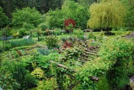 Source Edible Gardens La Garden Landscape Design Edible Garden Organic Vegetable Garden