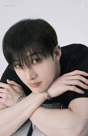 All about Chris. Today, I finish the 5 part SKZ 'Fan Fiction POVs'. All  members have their beginning storylines. So I'm already working