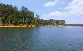 Maybe you would like to learn more about one of these? West Point Lake In Ga Boating Camping Fishing Info