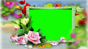 Wedding Video Background Green Screen Flower Frame Chroma Key Video 484 Green Screen Video Backgrounds Framed Wedding Photos Wedding Frames