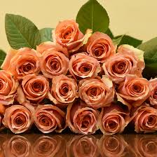 This is the newest place to search, delivering top results from across the web. Sense Ecuador Socially Conscious Foods Products From Ecuador