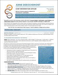 Example Executive Resume Cto Cio Pg1 Resume Examples Executive Resume Writing Competition