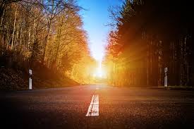 Image result for metafisica