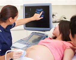 Perkembangan bayi dalam kandungan 5 bulan. Masa Perkembangan Dan Posisi Janin Usia 6 Bulan Prenagen