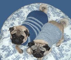 Patterns are sized to fit most dogs, and you can use a wide variety of yarns. Dog Sweater Knitting Patterns Allfreeknitting Com