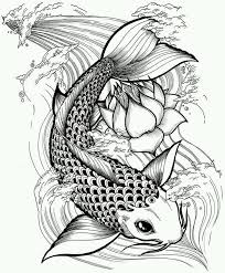 黑白线稿手绘装饰画鱼 来自柠檬的胭涩的图片分享 堆糖 koi fish drawing koi tattoo design coy fish tattoos
