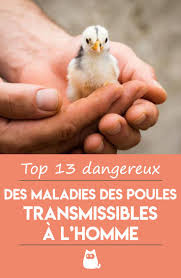 Epingle Sur Oiseaux Exotiques Oiseaux Des Jardins