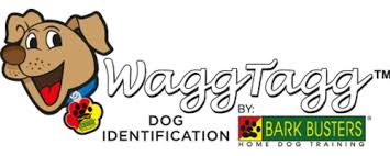 Can you make an article about rescuing a dog from the streets? Home Dog Training By Bark Busters Austin